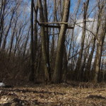 DSC00108