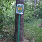 DSCF3647 - копия