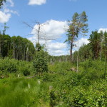 DSCF9015_resize