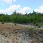 DSCF9017_resize