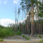 DSCF9018_resize