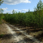 DSCF9022_resize