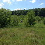 IMG_0050_resize