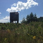 IMG_0061_resize