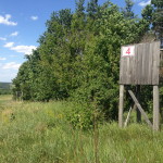 IMG_0072_resize