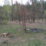 IMG_20170420_143504