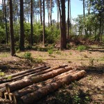 IMG_20170519_141821