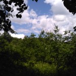 IMG_20170615_115422