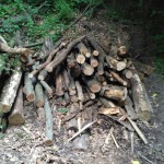 IMG_20170615_145732