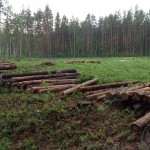 Катюжанский