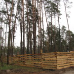 Проблемний-заказник-Пірнівський-3