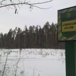 Заказник-Дзвінкіський-2