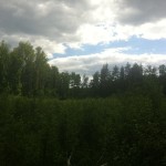image (2)