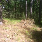 image (4)