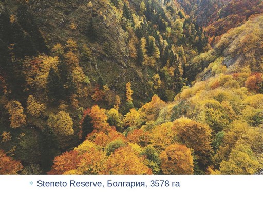 Галущенко_С.В_Страница_20