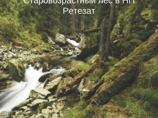Галущенко_С.В_Страница_29