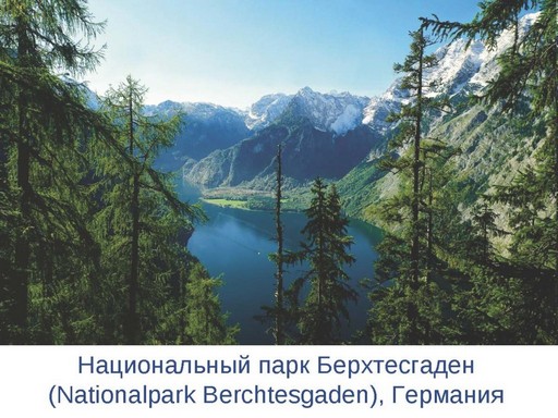 Галущенко_С.В_Страница_40