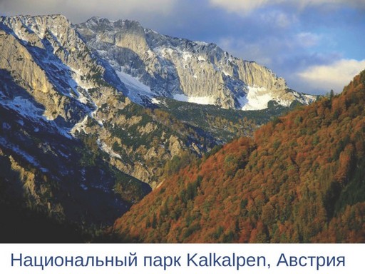 Галущенко_С.В_Страница_41