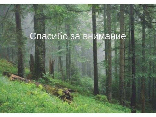 Галущенко_С.В_Страница_44