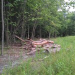 IMG_20170713_135246