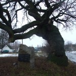 DSCF3770