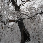 IMG_20171218_094924