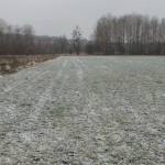 DSCF9855_resize