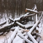 IMG-010e36582efffe4ac70156fc3dc3098b-V