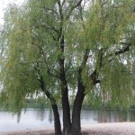 IMG-b42f73b74fa825bb630f45bdad903dab-V