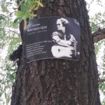 IMG-d8a590dbc94a29a6791be898f4cb44d4-V