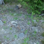 4588_resize