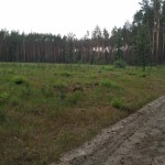 IMG_20180711_101959
