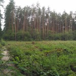 IMG_20180711_161555