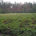 IMG_20180711_161601