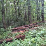 IMG_20180711_175213