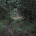 IMG_0234