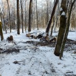 DSCF5830_resize