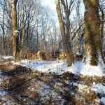 DSCF5842_resize