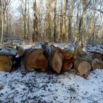 DSCF5855_resize
