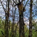 IMG_20190504_164501_HDR