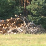 IMG_1222
