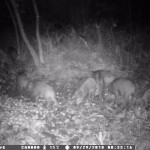 IMG-1ad1a62c98c0e1ffbbff75d62bbdda24-V