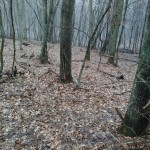 IMG_20200224_105519