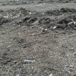 IMG_20200302_105633