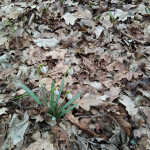 IMG_20200302_110748