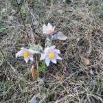 IMG_20200401_160110
