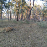 IMG_20200406_182322