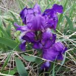 IMG_20200506_145205