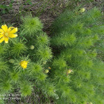 IMG_20200506_145912