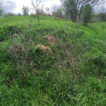 IMG_20200520_160838